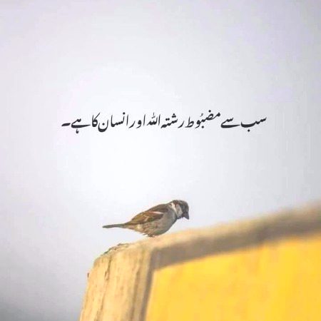 Such ma Allah sa Jo mango sb milta hai dosto Allah sb ko wo ata kary Jo ap k Haq ma bahter hai ameen