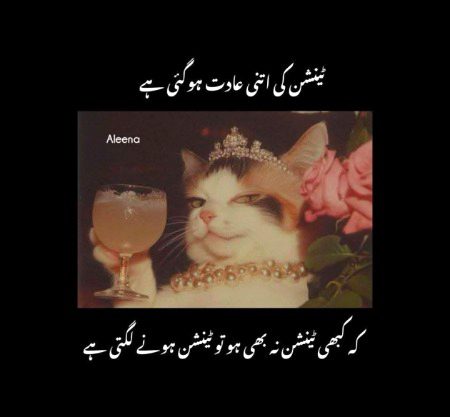 maahamkhan 🥀