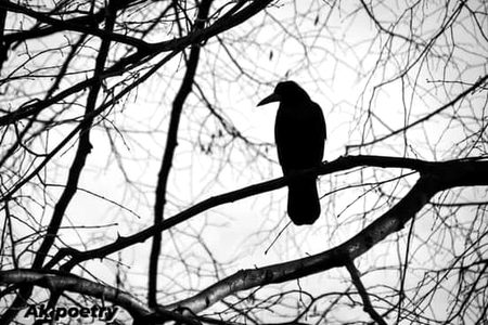 _کسی کا دُکھ ہے نہ کوئی حسرت مَری ہوئی ہے_
_بہت دِنوں سے یہ آنکھ یُونہی بَھری ہوئی ہے_ 
_ہمیں خبر ہے بچھڑنے والے نہیں پلٹتے_ 
_کسی کے وعدے پہ آنکھ دَر پر دَھری ہوئی ہے_💔😖