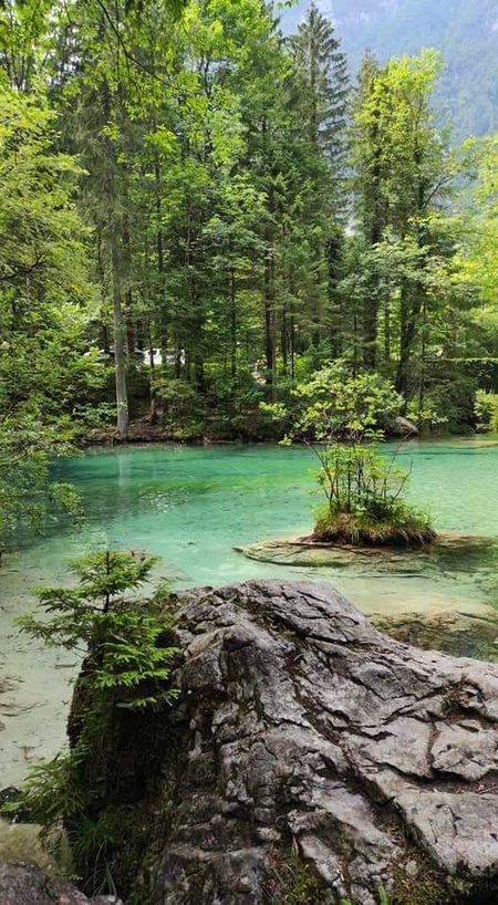 Beautiful Nature image