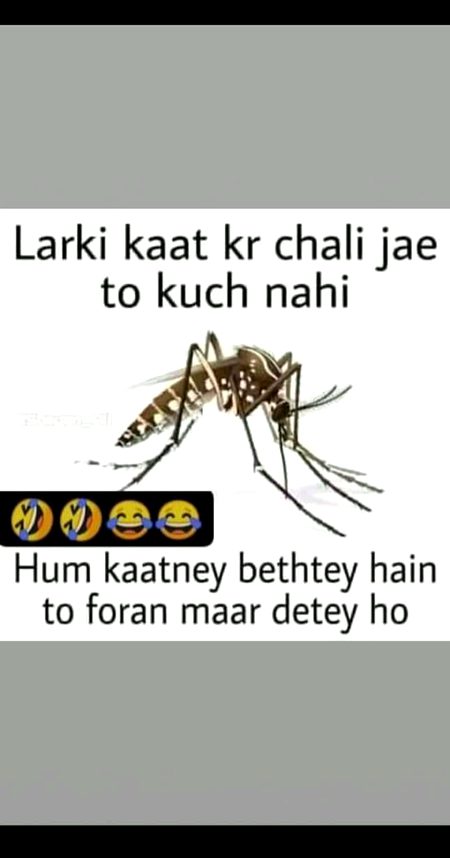 Memes & Satire image