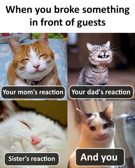 Memes & Satire image