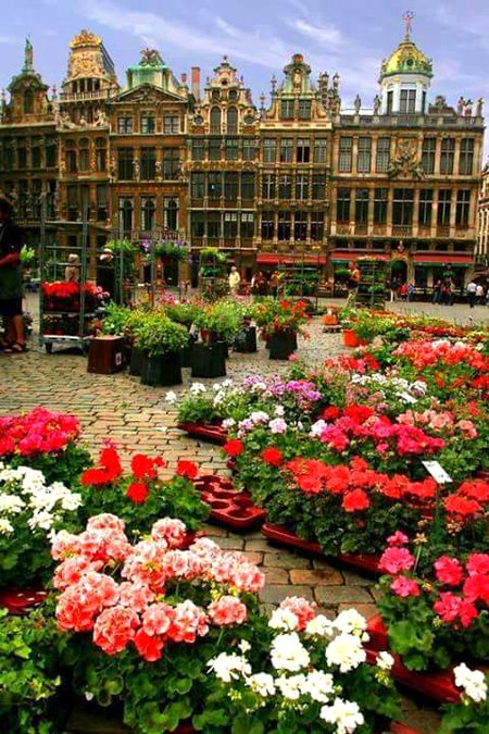 Beautiful Structures image