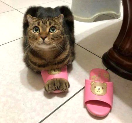 Beautiful Nature image