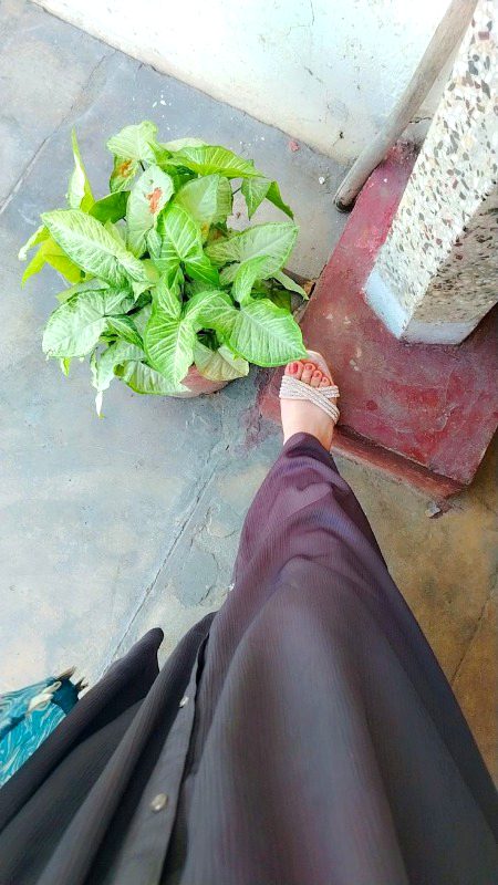 Nawabzadi