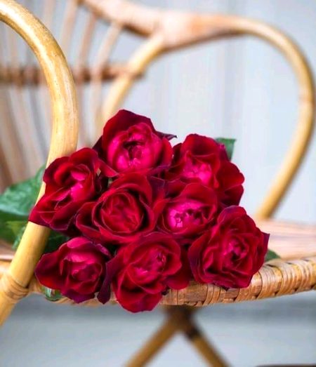 Beautiful Nature image