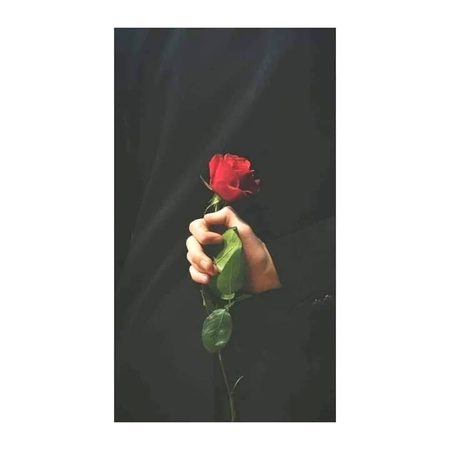 Beautiful Nature image