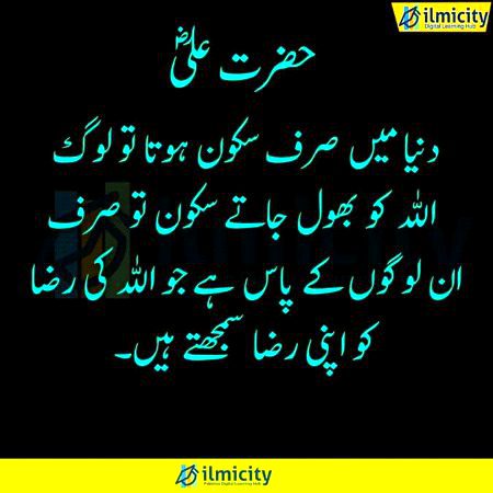 Islamic Quotes image