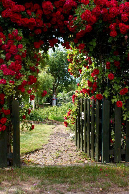 Beautiful Nature image
