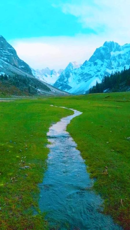 Beautiful Nature image