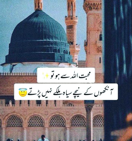 Islamic Quotes image