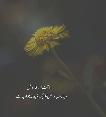 Sad Poetry image