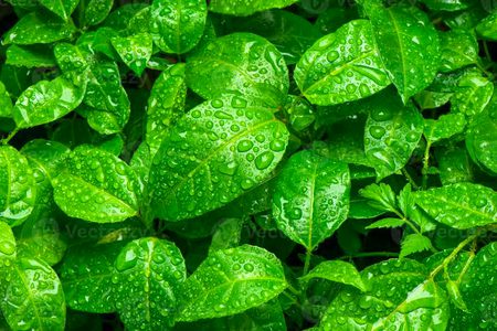 Beautiful Nature image