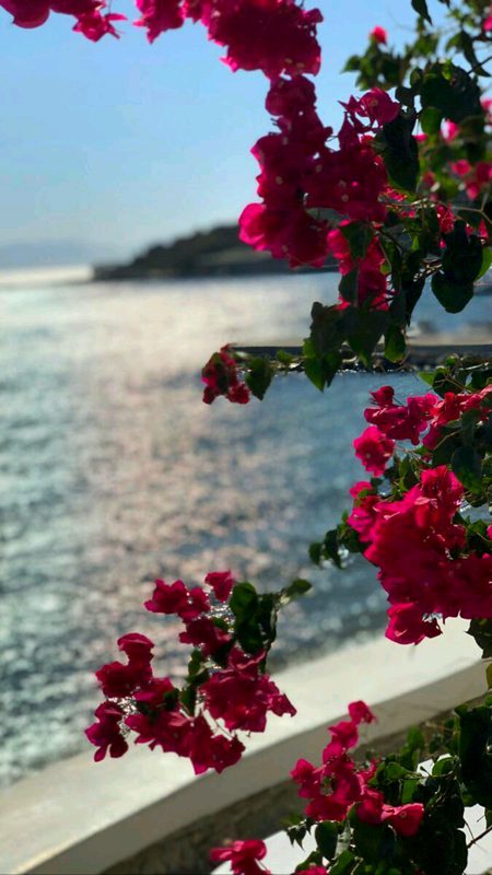 Beautiful Nature image