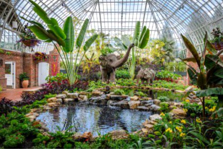 Atlanta botanical gardens 🏡
