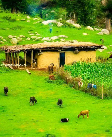 Beautiful Nature image