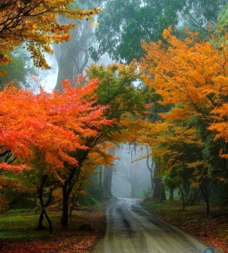 Beautiful Nature image