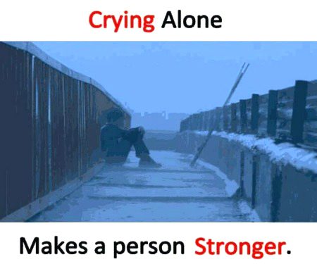 Memes & Satire image