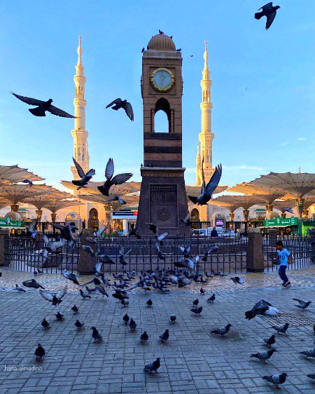 Beautiful Structures image