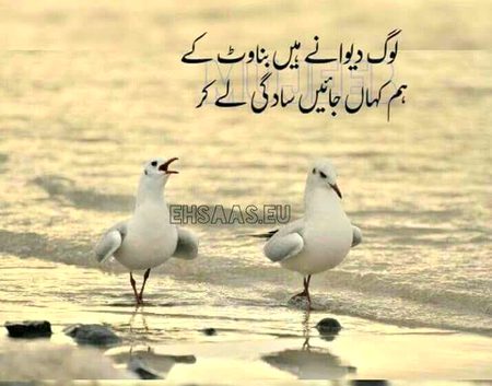 Attitude Poetry image