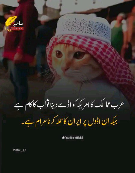 Memes & Satire image