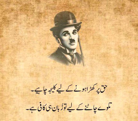 Attitude Quotes image