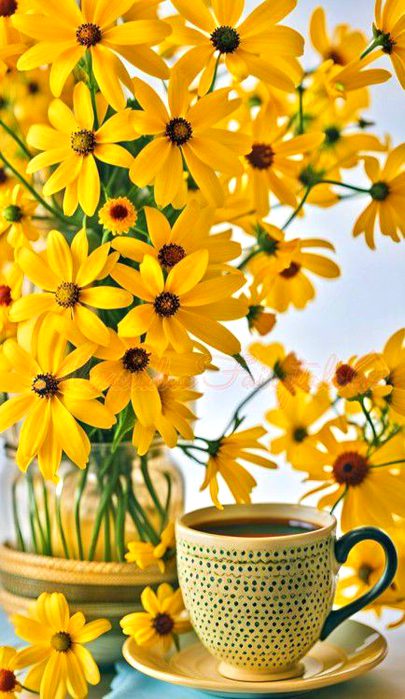 Beautiful Nature image