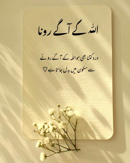 Islamic Quotes image