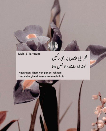 Life Advice image
