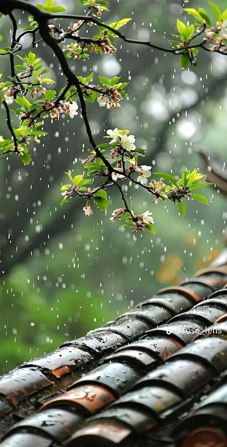 Beautiful Nature image