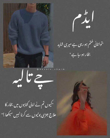 Suspense Novels image