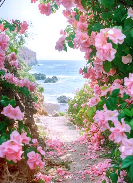 Beautiful Nature image