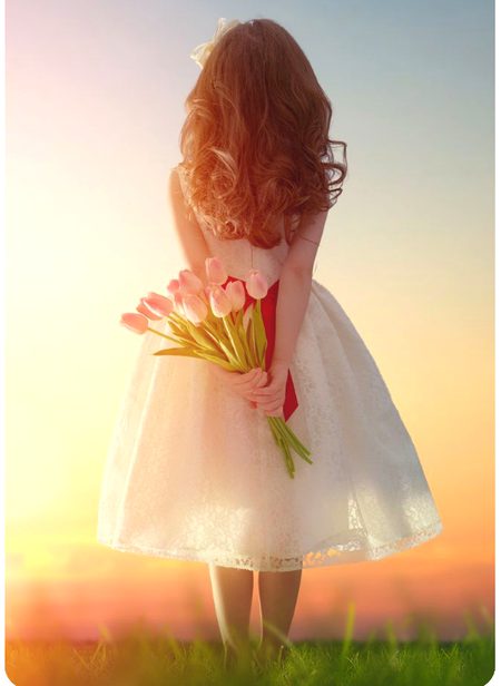 Beautiful Nature image