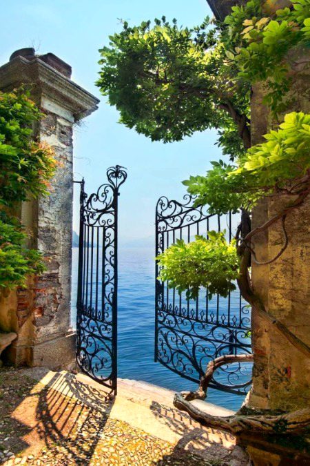 Beautiful Nature image
