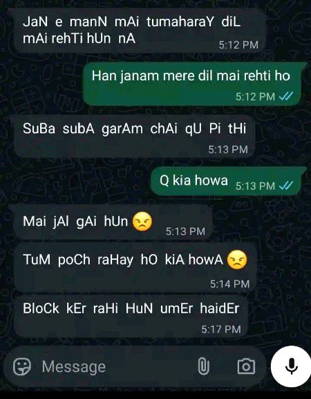 میں نے اُسے میسج نہیں کیا لیکن میں اس کے ریپلائے کا انتظار کررہی ہوں ، کیونکہ میں نے ایک سٹیٹس لگایا تھا 
اور سٹیٹس کو اس سے ہائیڈ کردیا تھا لیکن پھر بھی اسے رپلائی تو کرنا چاہیے تھا نا!
پھر میں نے فیسبک پر ایک ایموشنل پوسٹ بھی کی تھی لیکن اس نے کمنٹ نہیں کیا تو میں نے مایوس ہوکر ڈھائی سیکنڈ بعد ڈیلیٹ کردی ،یہ کیسی محبت ہے کہ وہ پورے ڈھائی سیکنڈ مجھ سے بے خبر رہا۔۔۔
اور ایک آخری کوشش میں نے اس وقت کی جب میں نے اسے میسج کرنے کا سوچا ، پھر بھی اس نے مجھے رپلائی نہیں کیا ۔ یہ کیسی محبت ہے ، اسے یہی پتا نہ چلے کہ میں نے کیا سوچا ہے 
تف ہے ایسی محبت پر!
کیا ہوا اگر میں نے اس کے تین چار سو میسج اگنور کردیےتو، وہ مجھے منانے کے لئے ایک اور میسج بھی تو کرسکتا تھا ،لیکن نہیں ،ساری بات محبت کی ہےے۔اسےمحبت ہوتی تب نااا
continued