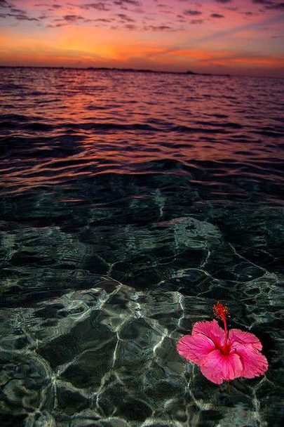 Beautiful Nature image