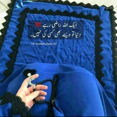 .q3 🌻⚘🌷🌼🌺🌻
🌺🌺🌺How 🌻🌻🌻🌻r 🌼🌼🌼u🍁🍁🍁 all🌷🌷🌷