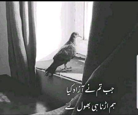 Sad Poetry image