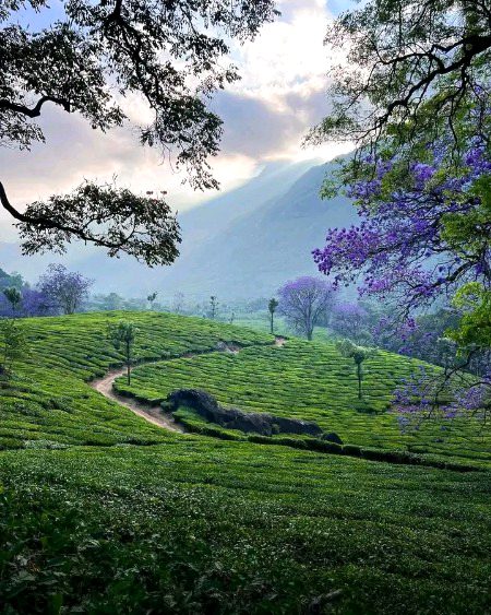 Beautiful Nature image