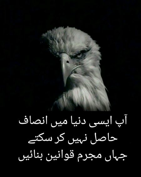 بغاوت وہ واحد راستہ ہے، جس سے قوم کو آزادی مل سکتی ہے، مذمت بے بسی کی علامت ہے،✊✌️✊