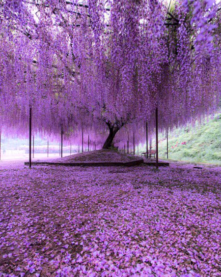Beautiful Nature image