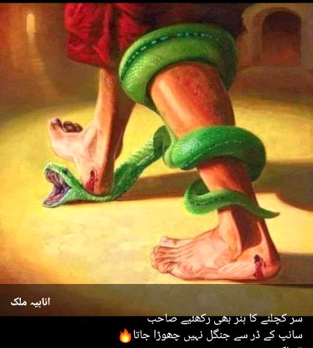 Attitude Poetry image