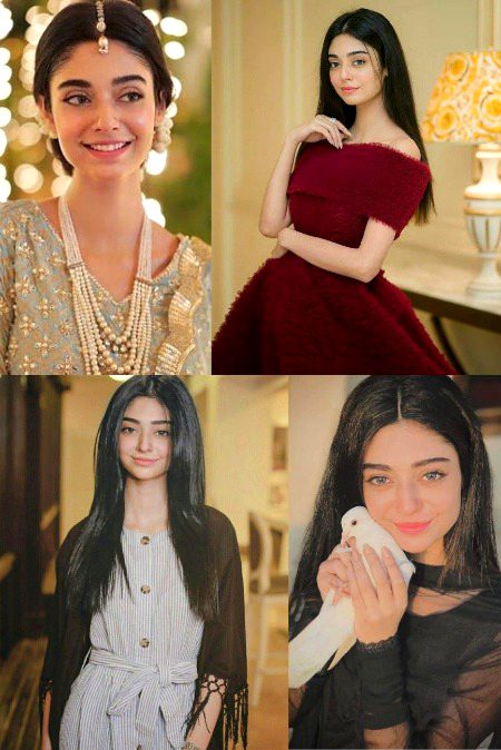 Pakistani Celebs image