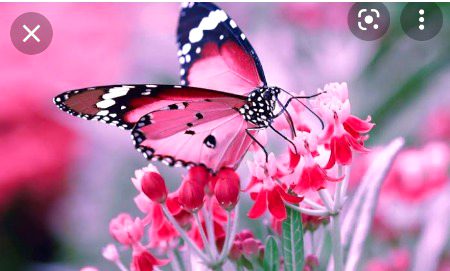 Beautiful Nature image