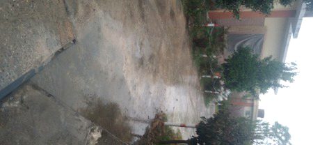 Raining sardiyan shuro