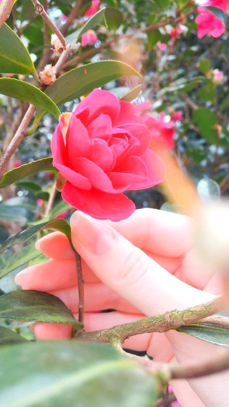 *وقت کا انتظار کیجئے___ صاحب❤🩹🙂*
*اس بار ہم نہیں___آپ ہم سے ملنے آئیں گے 💔🥲*