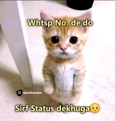 pakka sch bol rha hn