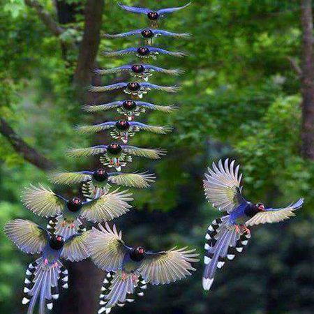 Beautiful Nature image
