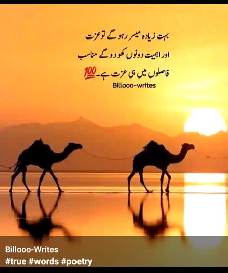 Attitude Quotes image
