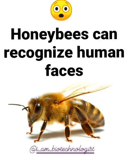Interesting Posts image